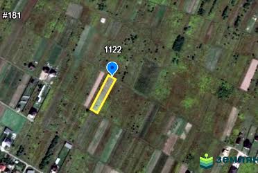 1832005645908241
