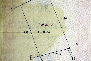 1835814596041250