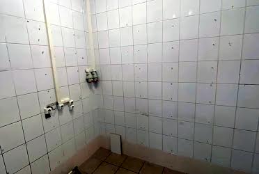 1831365387688260