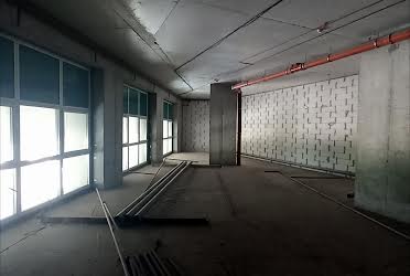 1835829792916271