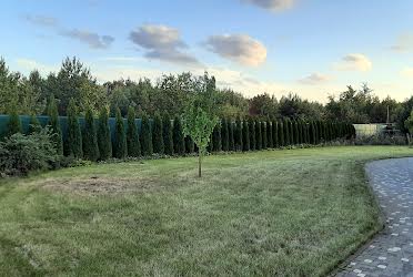 1791075857082282