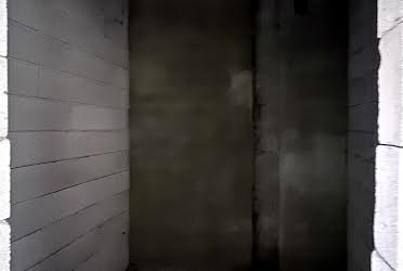 1833811115687299