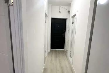 1833660728256307