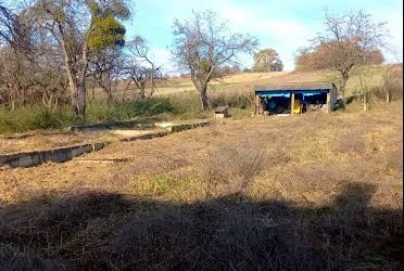 1825560447607322