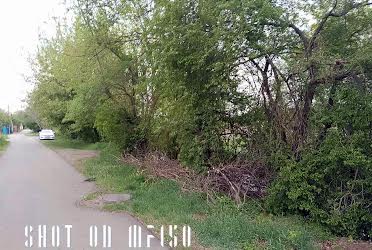 1831361957644322