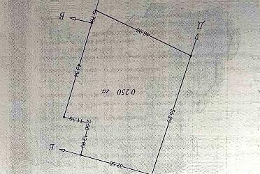 1833718175771330