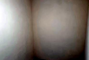 1832277886122335