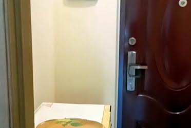 1833817285455345