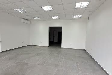 1833181539305036