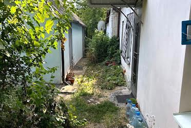 1815426844039360