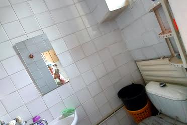 1832897237204365
