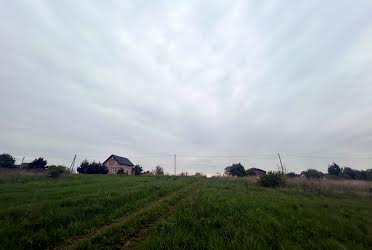 1831647259958399