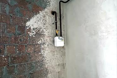 1831647954951405
