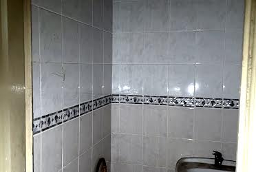 1831563653438411