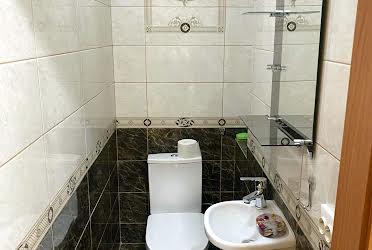 1831557192686412
