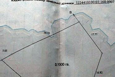 1705361853351451