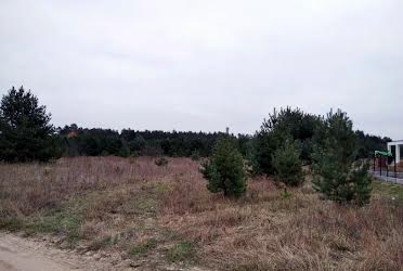 1828673589768454