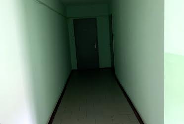 1822240174529502