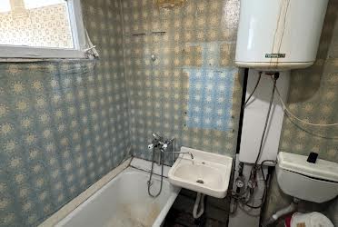 1832181635223503