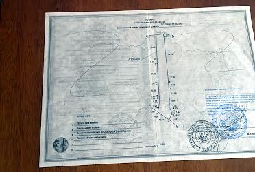 1824297912017505