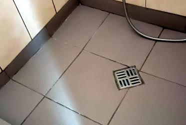 1833096778410505