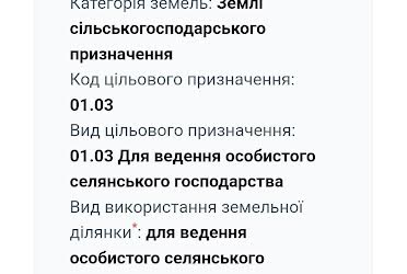 1825043365306506