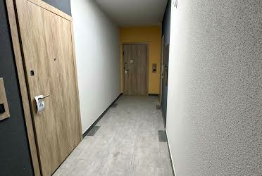 1826559116339507