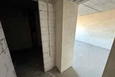 1827301204226526
