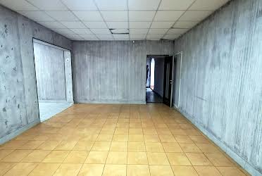 1833184430053531