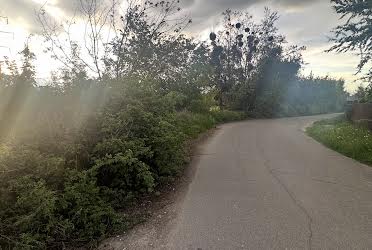 1832817756130536
