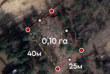 1835186919133539