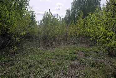 1833437574068562