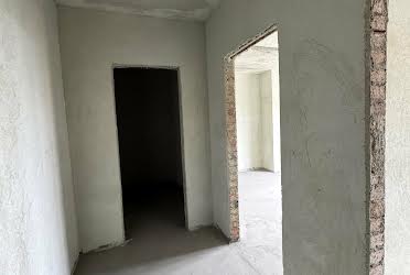 1833165923461569