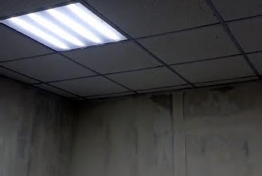 1829474899260599