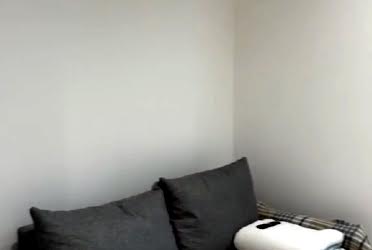 1833305686794605