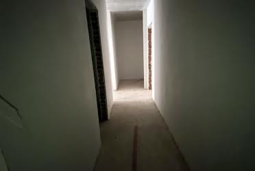 1831684767299629