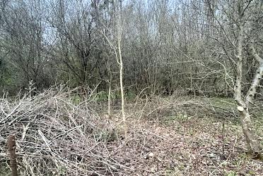 1830293745251063