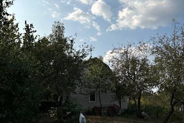 1811062212686064