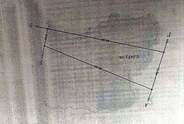 1833718179936665