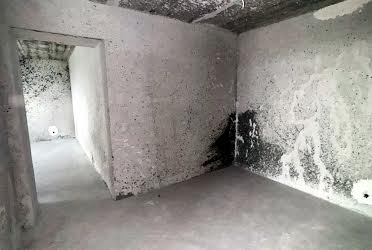 1834432926681667