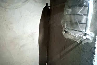 1835748639451677