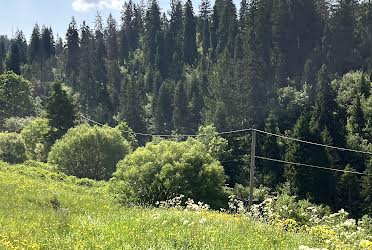 1836201495622704