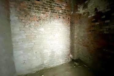 1832108231250769