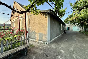 1835280566447772