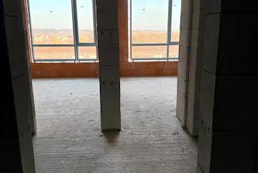 1832011055030773