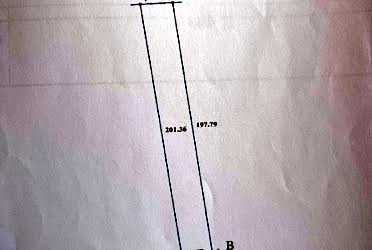 1831272100845796