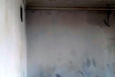 1832182673037796