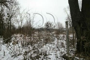 1821492296362805