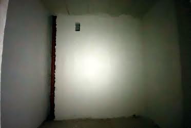 1831684767299821