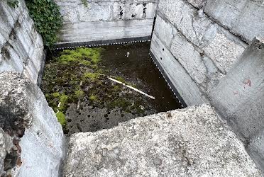 1834827311261827